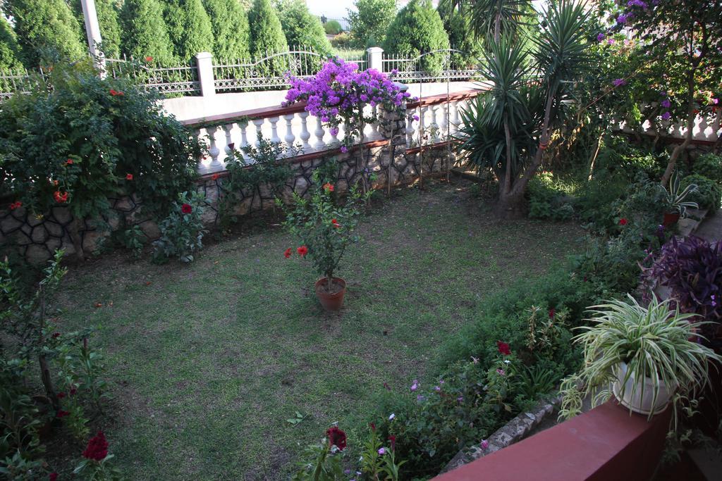 Apartman Alvanita *